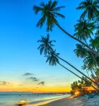 Tại Phan Thiết